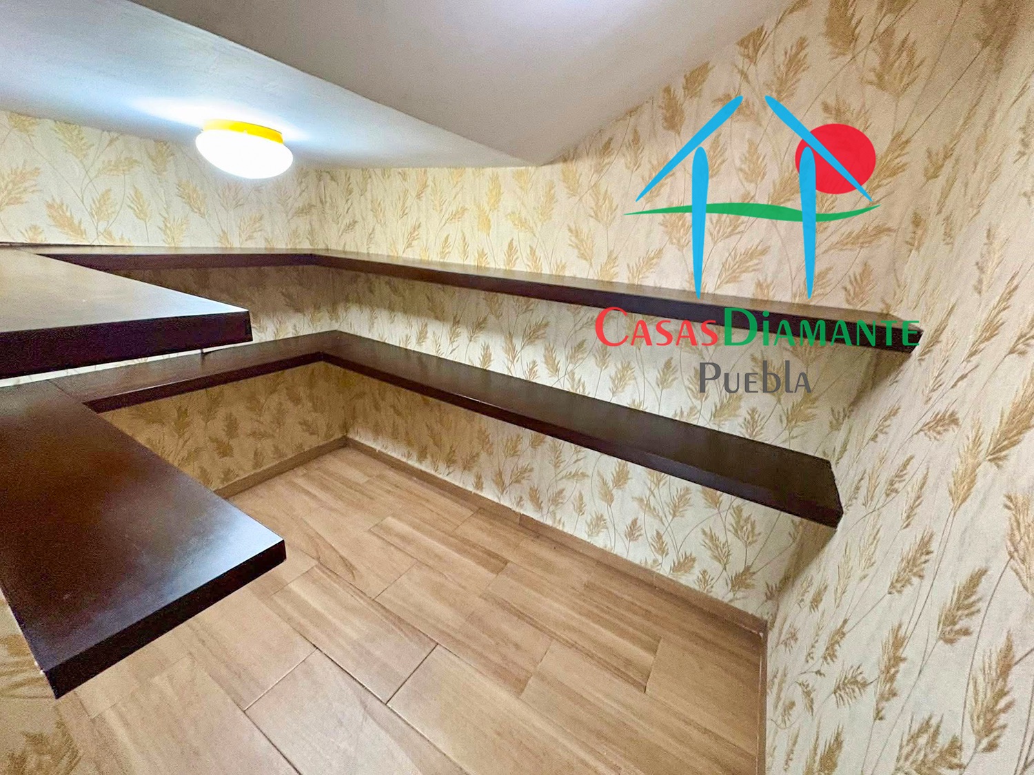 Las Ánimas Casa y Corporativo 360 - Despensa casa 1